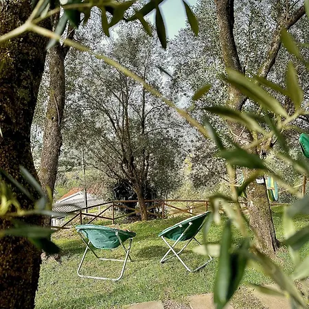 Casa vacanze Matos *