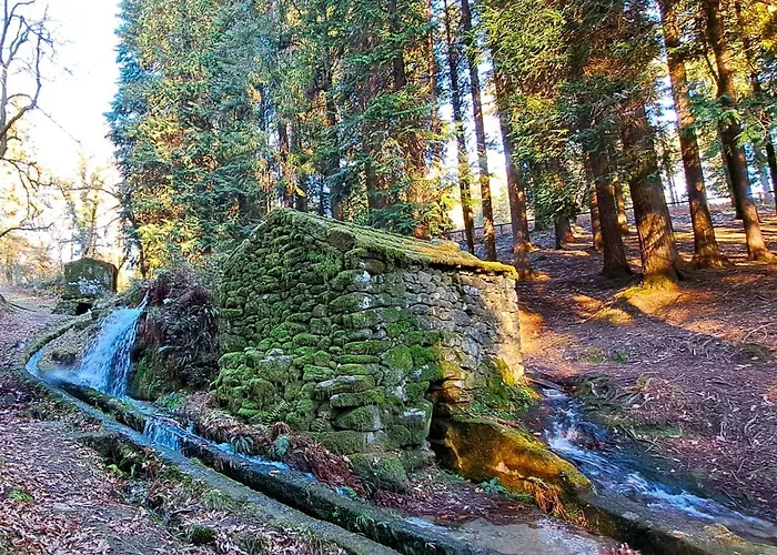 Matos * Cabeceiras de Basto